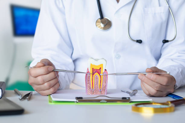 Best Emergency Treatment for Dental Infections or Abscesses in St James, MO